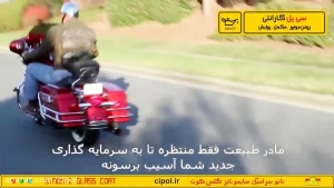 نانو سرامیک سایمونایز گلس کوت موتور سیکلت